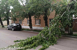 � ������ ����-��� ������ ������ �� ������ 