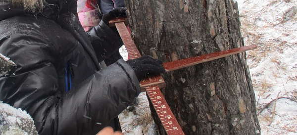 � ������� ���� ������� ����� 130-������ �����