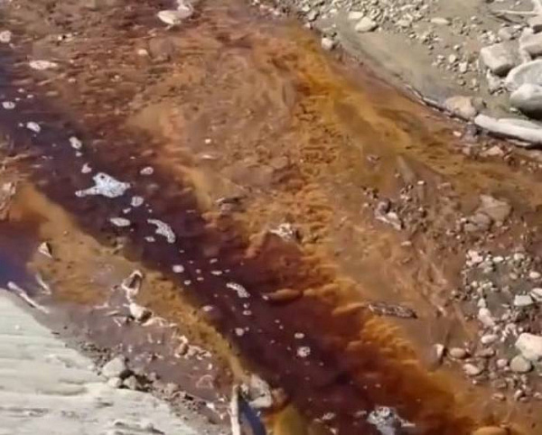 ������� ������� ���������� ���������� �����, ��������� � ������ 