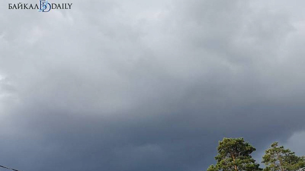 � ������ ������� ����� ����� ��������� ���������� ����� ���� 