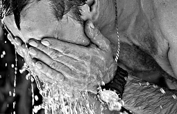 ������� ������� �������� ���������� �� ������ 