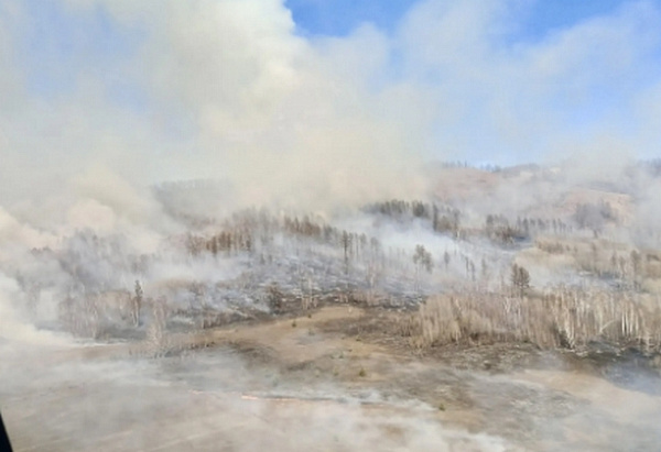 � ������ ������� ������� ������������ ������� ������ �����