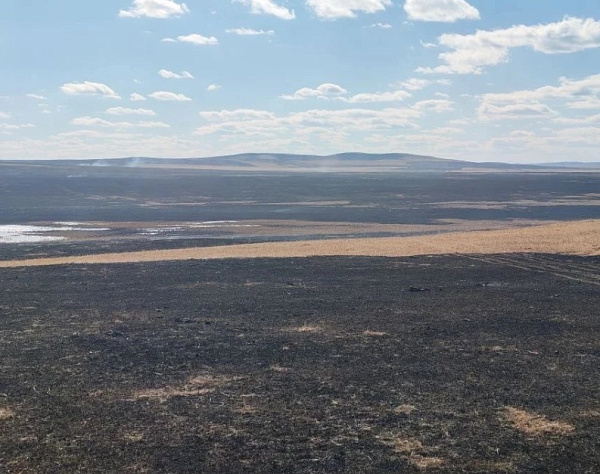 � ���������� ��������� ������������� ����� 