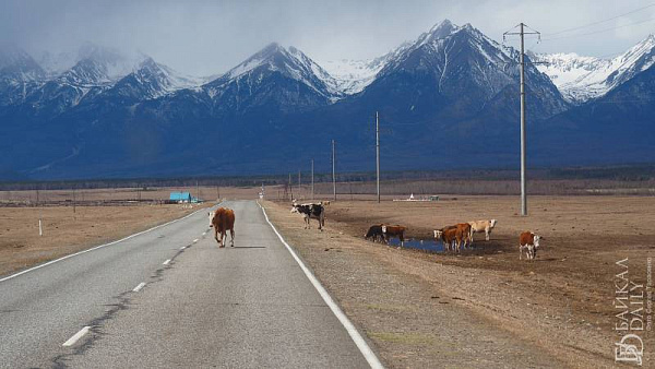 ���������� ������ ������� ������� �������