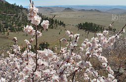 � ������� � �������� ���������� �������� ������� ����������� ����