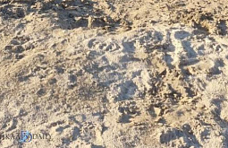 Пляж в Чите закроют из-за отсутствия отдыхающих