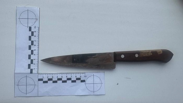 � ������� ��������� ������������ �������� ����� ������ ��������