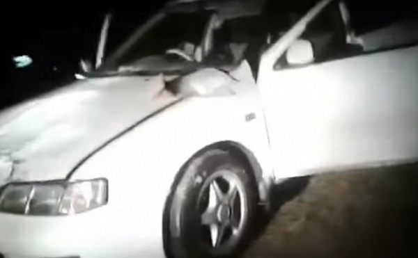 � ��������� ����-��� ��� �������� ������� � ���������� (����� 18+)