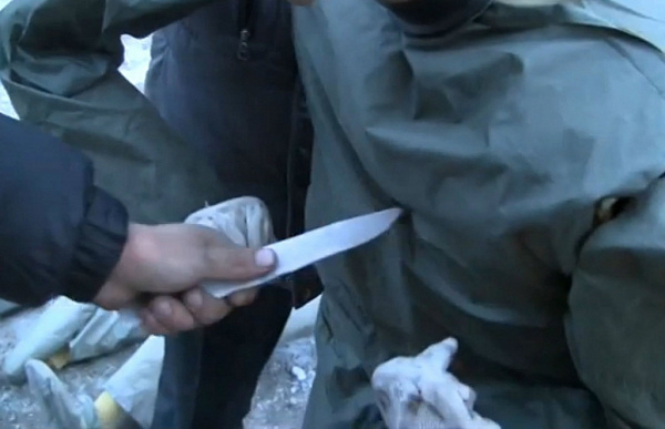 ������ ��� ������� � ����-��� ����������� � ������������ (��������� �����)