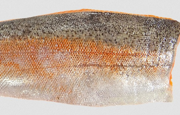 ������ ��������� ������� ������� �� ��������� ���� ��� ������, ����� � ������ 