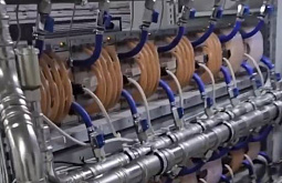 ������ �� �������� �������� ����� � 8 ��� ������