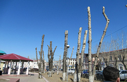 �������������� �����: ������ ����-��� ���������, ����� �������� ������� 