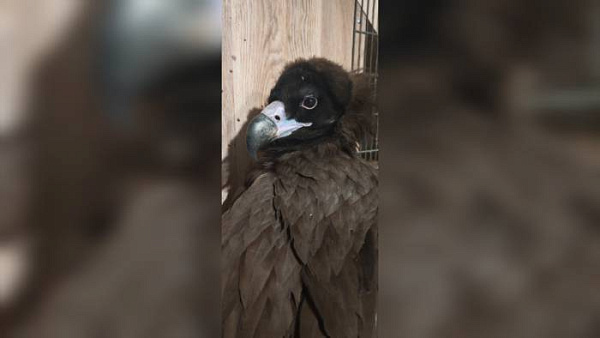 � �������� ������� ������� ����� �� �������