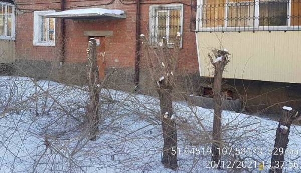 � ����-��� ����������� �������� ��������� �������� �������