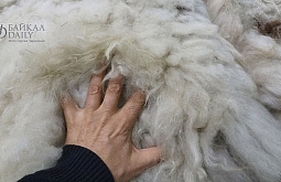 ������������� ������ ������ ���������� � �����