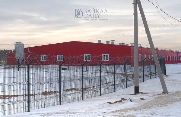 ��������� ������� ����������� ��������� ���� �� �������������� � �������