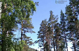 � ������� ���������������� ����� ��������������� ���� �� ��� 