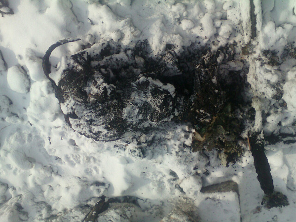 ������ ����-������ ������ ��� ������ ������� (���� 18+)