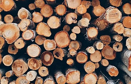 � ������ �������������� � ����-��� ���������� ��������� 