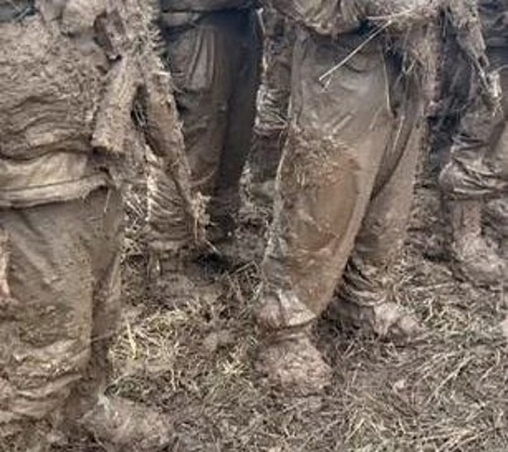 ���������� �� ������� ��������, ��� ���������  � ������ ��������