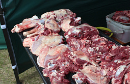 �� ������ ����� ������� ������ 50 ������ ���������� ���������