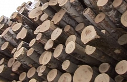 ��������� ������� ������� � �������� �������� ���� 