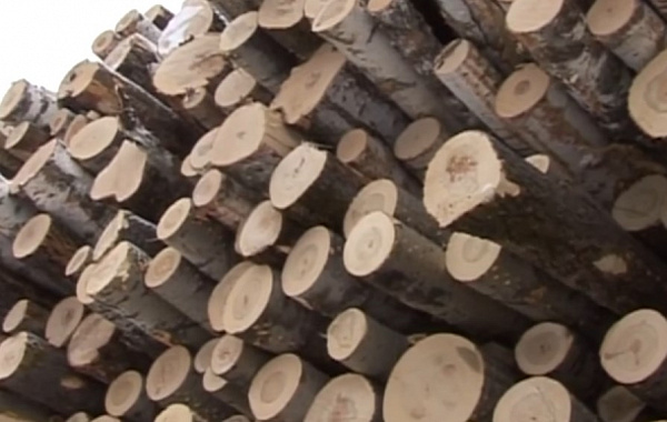 ��������� ������� ������� � �������� �������� ���� 