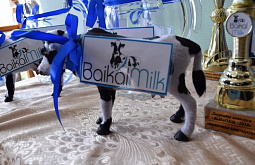 � ������� ��������� ����� �BaikalMilk� 