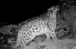 �� ��������� ����� ���� ������� ������