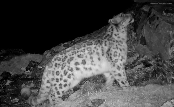 �� ��������� ����� ���� ������� ������