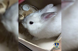 ����-������ ����� ������� � �������� ������� ��� ���� 