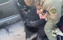 � �������� ������� ����� ����� �� ������ ��������