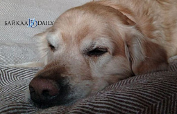 ������� ������� ��������� �� ������ � �������� �� ����� ������� �����������