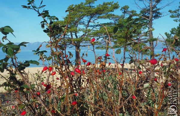 100 ����� �� ��� �������� �� ������� � ������� 