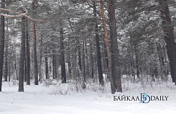 � ������� � ���� ���������� ���� ������� 