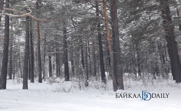 � ������� � ���� ���������� ���� ������� 