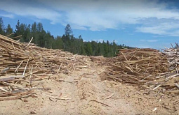 � ������� � ������������� ���� ������� ��������� ��������