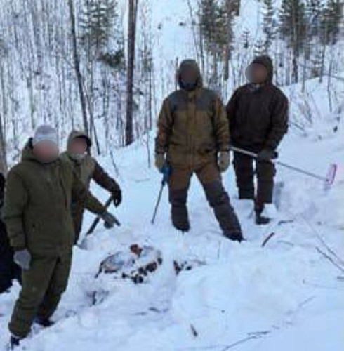 ������ ������� ������� �������� ������� ����� �� 8 ��� ������