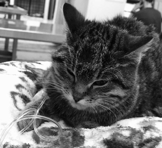 �� �������� �������������: � ����-��� ������� �����, ������� ��������� �������