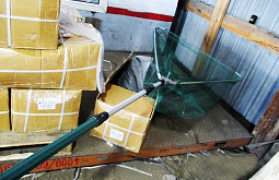 �� ������� � ������� ������� ����������� �����������