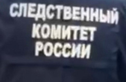 В Иркутске стая собак напала на детей возле школы 