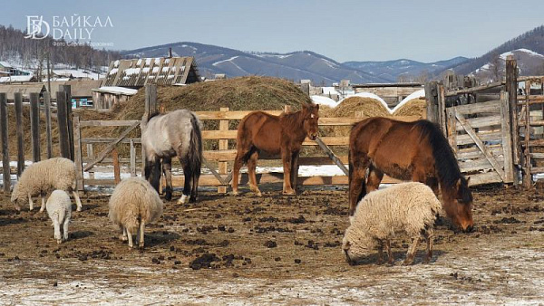 ���� ��������� ��� ������ ����� � ������ ������� � ������� 