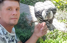 ���� �� ����� ���-�������� ���������� ��������