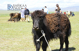 �������� ������� ���� ���� �������� ����������� ���������� ����������