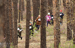 � ����-��� ����������� ������������� ������������ �� ����������� ��������������