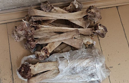 �������� �������� �� ������ ������ � ������� ����� � ������