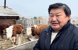 ����� ������-���������� ������� ����� � ����� ������������� ������������� ������ ���������