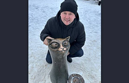 ������� ������� �� ������� �������� �������