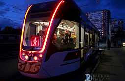 � ����-��� ���� 12 ������