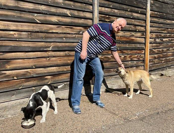 Глава МВД по Бурятии подобрал с улицы двух собак 